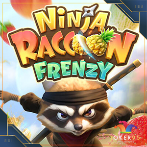 Ninja Raccoon Frenzy