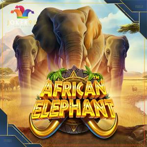 African Elephant